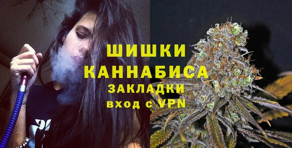 ешки Медногорск