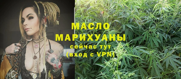 ешки Медногорск